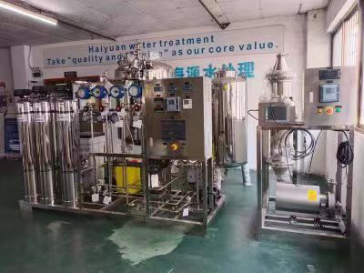 500LPH één pas RO en EDI-systeem voor PW-water