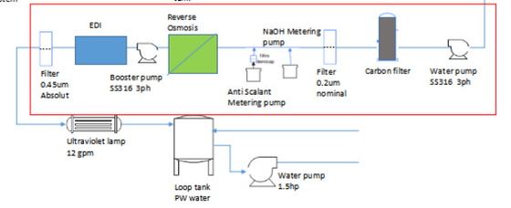 500LPH één pas RO en EDI-systeem voor PW-water