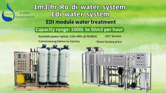 Gedemineraliseerd EDI Unit For Water Treatment-Reinigingssysteem 1TPH