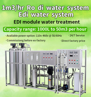 Gedemineraliseerd EDI Unit For Water Treatment-Reinigingssysteem 1TPH