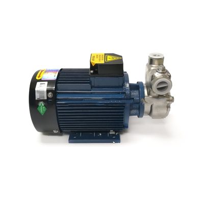 220V / het Ozonvloeistof die van 380V SS304 Pomp 2900r/min mengen